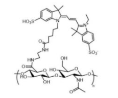 HA-Cy3 ͸|(zh)-ݼȾCy3Cy3(bio)ӛ͸|(zh)