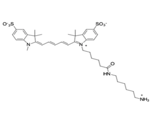 Sulfo-Cyanine5 amineˮ Cy5 NH2Sulfo-Cy5ɹȾ