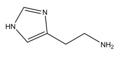 Mż(lin)ţѪ嵰Histamine-BSAţѪ嵰M
