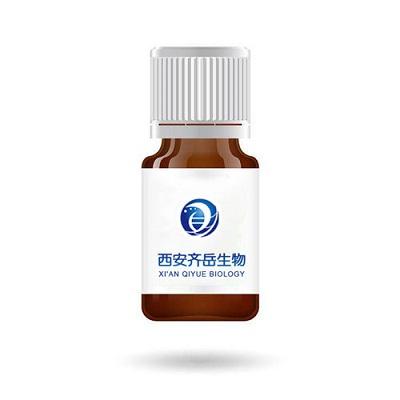 FITC(bio)ӛDEAE