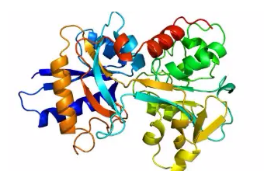 NaYbF4{Oil phase NaYbF4 nanoparticles