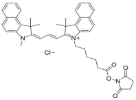sulfo CY3.5 NHSˮԻCY3.5Sulfo-Cy3.5 NHS ester