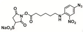 Sulfo-SANPAH Crosslinker6-[(4-B-2-)]
