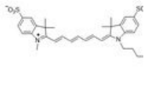 sulfo Cy7 alkyne2183440-55-1ǻCy7ȲN