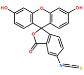 FITCɹأ 5-FITCFluorescein isothiocyanate isomer 