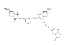 Sulfo-Cy7 NHS ester1603861-95-5CY7 