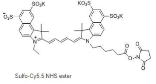 ˮcy5.5-NHSCy5.5-Sulfo-Cyanine5.5-NHS