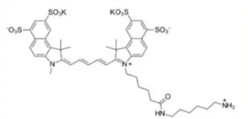 Sulfo CY5.5 NH2ữCY5.5sulfo-Cy5.5 amine