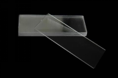 ܻwƬAmine functionalized glass slides