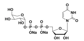 UDP-Arabinose15839-78-8udp-