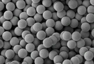 ùHش 100nmStreptomyces avidin polystyrene microspheres