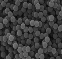 ۱ϩ΢50nmpolystyrene microsphere