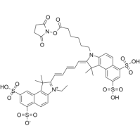 Sulfo-Cy5.5 NHS ester442912-55-2Cy5.5-N-u
