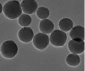 10umİ΢Amine Functional Silica Particles