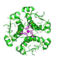 PS-NH2Gɫɹ 5um (10mg/ml)PSɹ΢