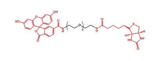 ɹؾҶ FITC-PEG-Biotin