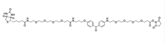 UV-Tracer Biotin NHS ester1628029-01-5