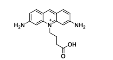 ATTO 465 acid1156537-96-0