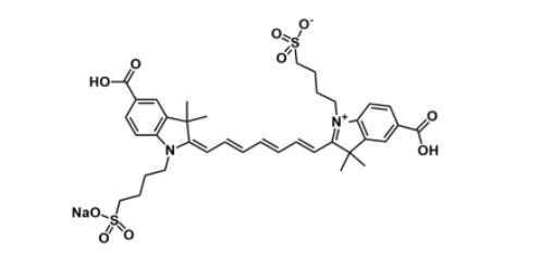 diSulfo-Cy7 Bis-Carboxylic Acid/ˮCy7 Bis-COOH