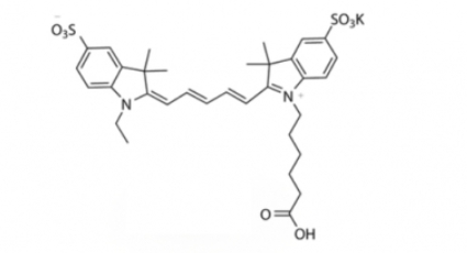 diSulfo-Cy5 carboxylic acid(Ethyl)Cy5-Ȼ(һ