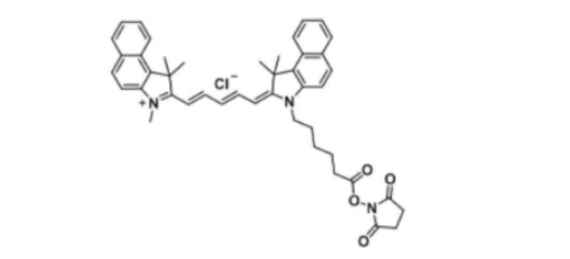 Cyanine5.5 NHS Ester֬Cy5.5 