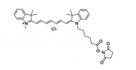 Cy7 NHS(Methyl)֬Cy7 