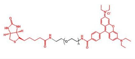 _Ҷ RB-PEG-BIOTIN