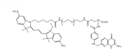 Cy3-PEG-Folate   Cy3-Ҷ-~