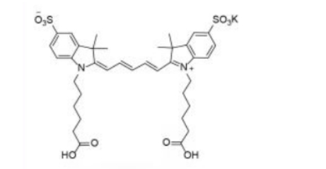 diSulfo-Cy5 carboxylic acid(Di)-Cy5-Ȼ
