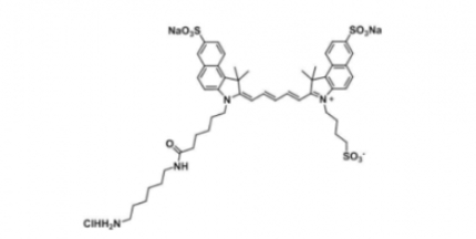 triSulfo-Cy5.5 amine/ˮCy5.5 amine Cy5.5 