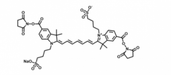 disulfo-ICG Bis-NHS EsterˮݼG-(Bis