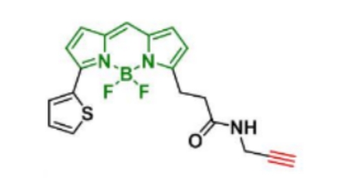 BDP 558/568 Alkyne 383.22