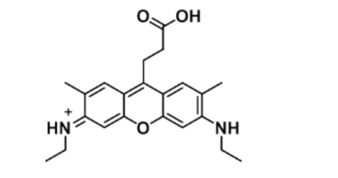 ATTO 520 acid863655-50-9ʽ C22H27N2O3+