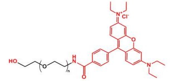 _Ҷu Rhodamine-PEG-OH