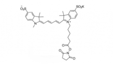 diSulfo-Cy5 NHS ester(Methyl)Cy5-(׻)