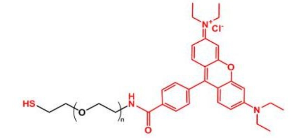 _Ҷ Rhodamine-PEG-SH
