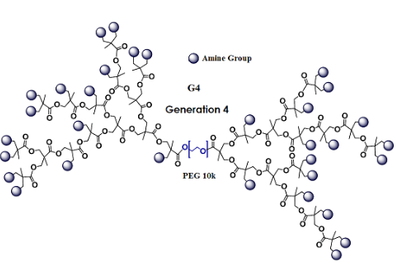 Ҷ-֧֦() Dendro Amine-PEG-Dendro Amine