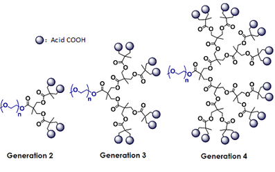 Ҷ-֧֦ mPEG-֦ mPEG-Dendro Acid 