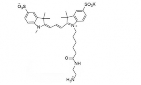 diSulfo-Cy3 C2 amine/Cy3-C2-