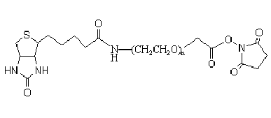 -Ҷ-NHS Biotin-PEG-SCM