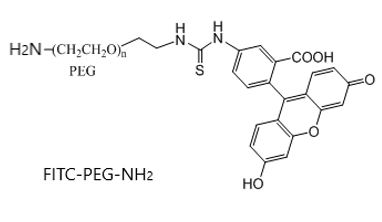 ɹ-Ҷ- ɹӛ FITC-PEG-NH2 