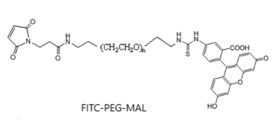 ɹ-Ҷ-R ɹ(bio)ӛ FITC-PEG-MAL