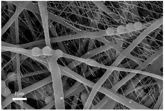 PVDF/SiO2(f)ϼ{wSĤĻϢ