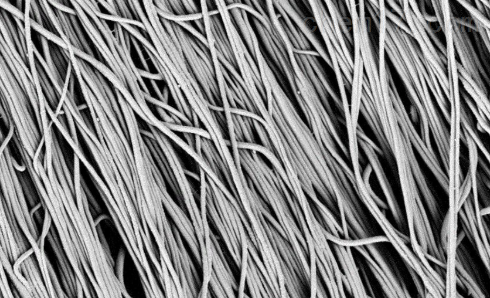 PDMS/PU{wSĤĻϢ