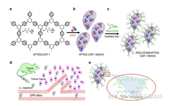 PEG-CCM@APTES-COF-1DOXؓdϳɼoˎСЧ