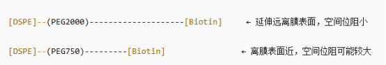DSPE-PEG2000-BIOTIN DSPE-PEG750-BIOTIN ʲôͬ?