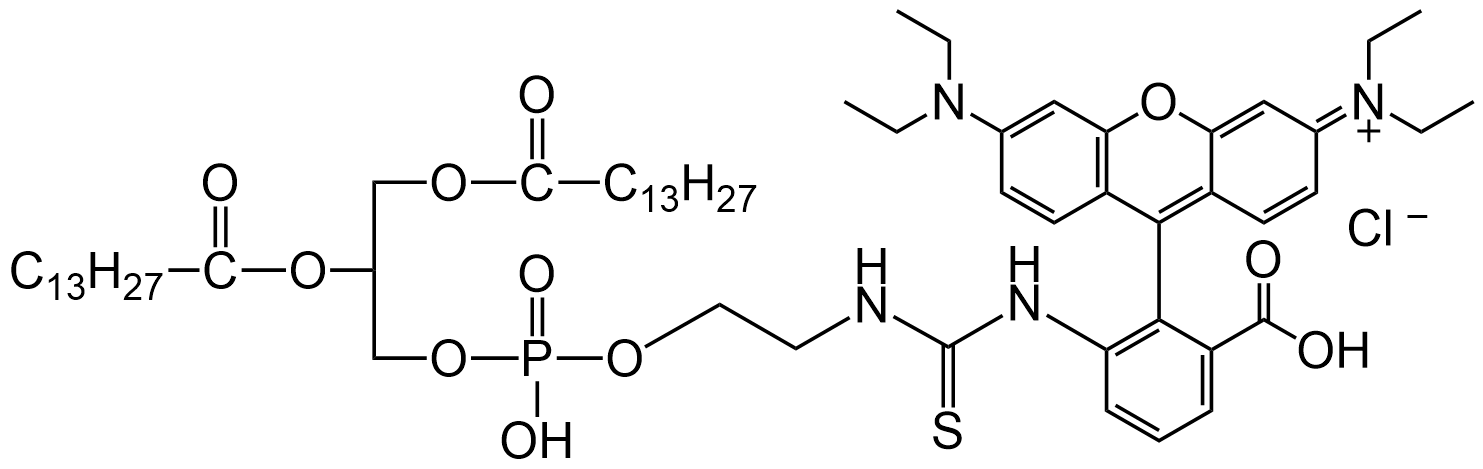 DMPE-RB_B(bio)ӛ֬Ҵ