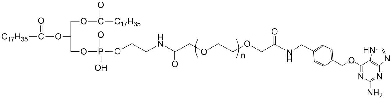 DSPE-PEG-BenzylguanineSBPEG֬|(zh)