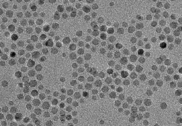 {׽5 nm, 0.05 mg/ml