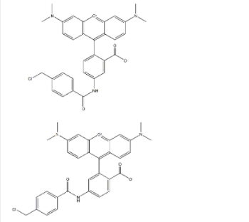 CYTOTRACEɫɹʾۙ̽CMTMR 